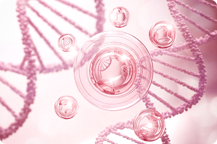 질 필러 상세 이미지