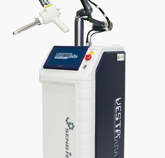 질 레이저 VESTA 장비 사진